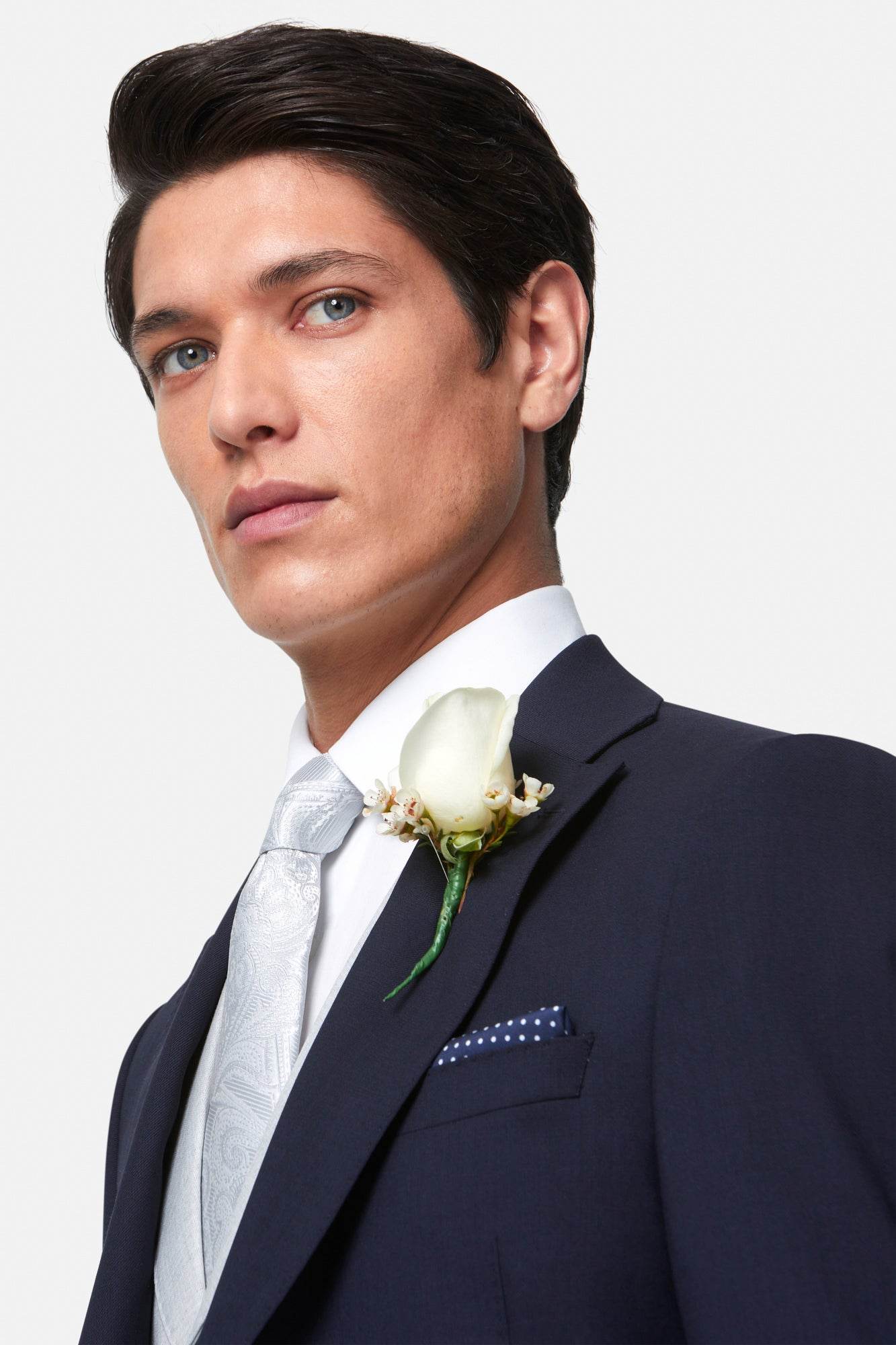 Albert Silver Notch WC AlbertSilverNotchWC06