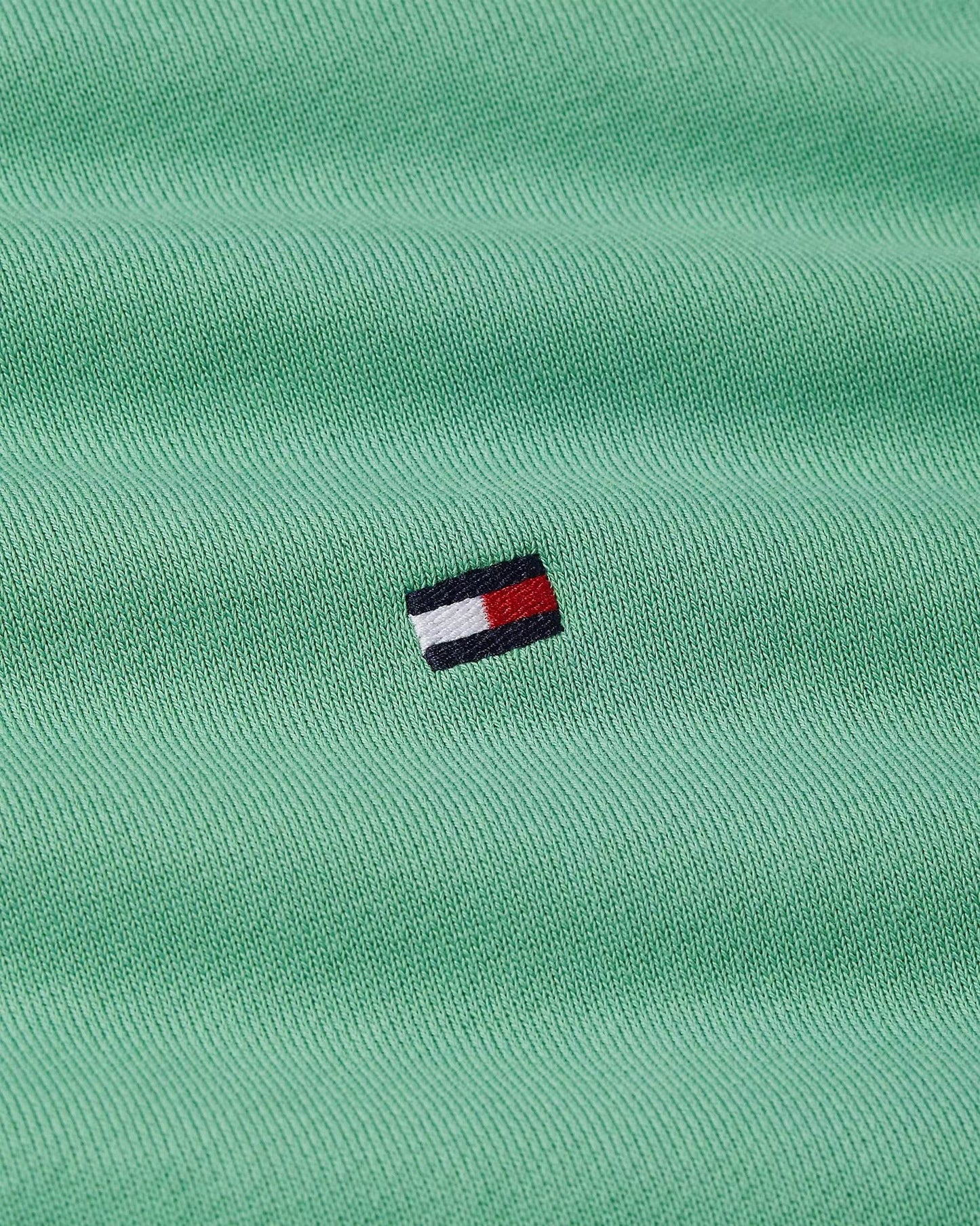 Tommy Hilfiger Flag Embroidery Terry Hoody - Fort green MW0MW37235L3J_D_C5101