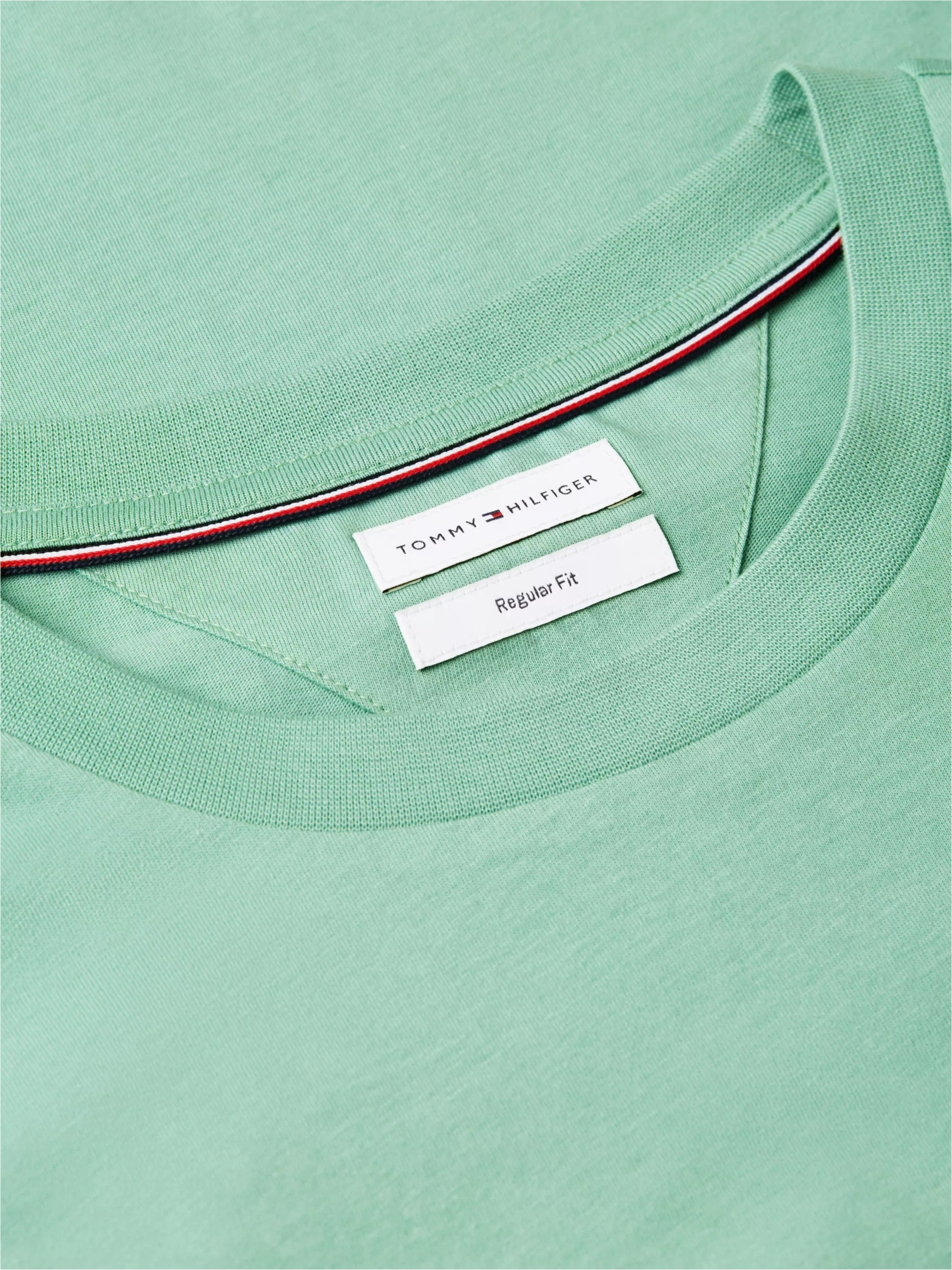Script Stack Logo T-Shirt – 100% Regenerative Cotton GRE 26 1778143815_56_019300_GREEN_alternate