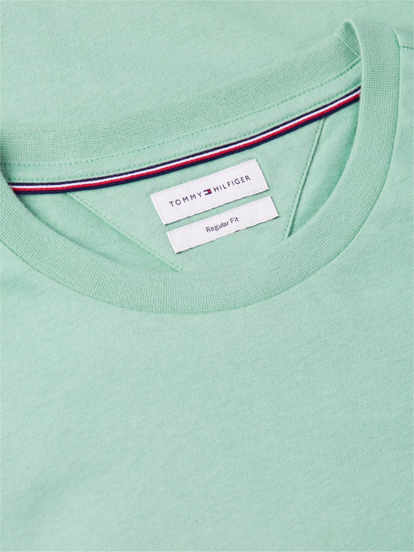 Essential Seasonal Regular Fit Solid Tee – 100% Regenerative Cotton-GREEN 1778144581_6478_019304_GREEN_alternate