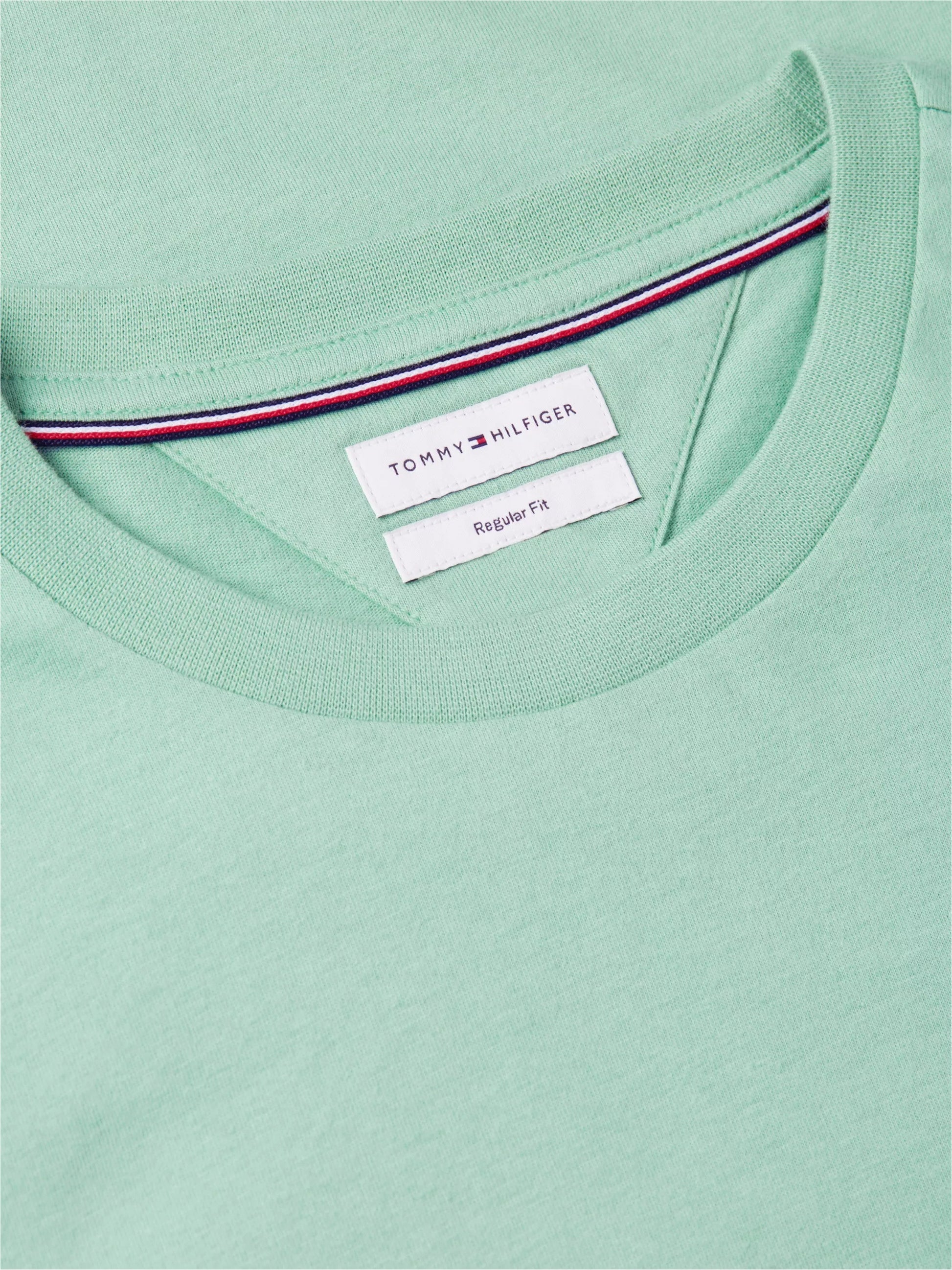Essential Seasonal Regular Fit Solid Tee – 100% Regenerative Cotton-GREEN 1778144581_6478_019304_GREEN_alternate