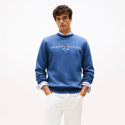 Tommy Hilfiger Tommy Logo Sweatshirt - Blue MW0MW11596-DVI-4
