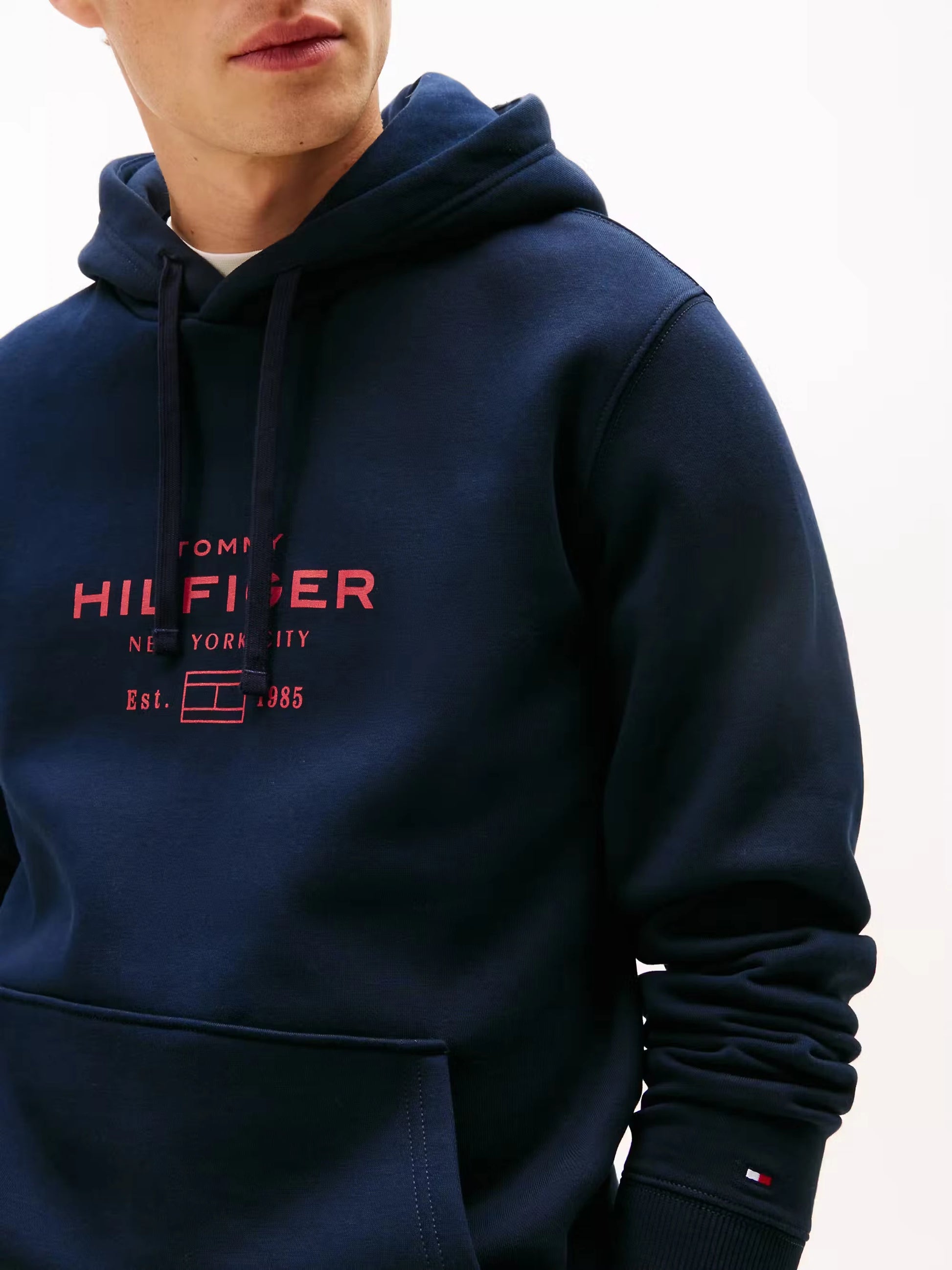 Tommy Hilfiger Oval Graphic Hoodie - Desert Sky MW0MW40864_DW5_alternate1