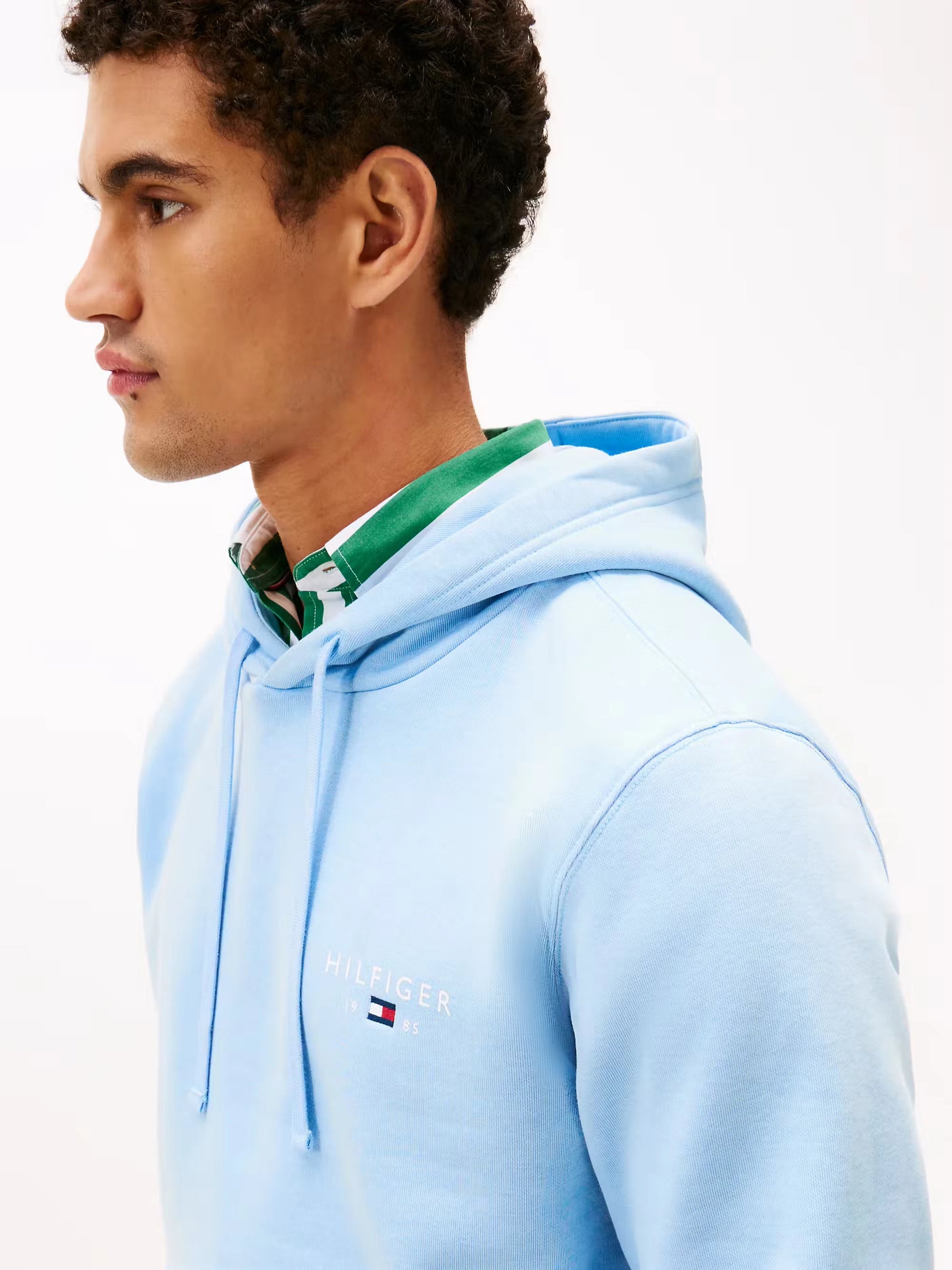 Tommy Hilfiger Brand Love Small Hilfiger Hoodie - Well Water MW0MW41429_C1Y_alternate1