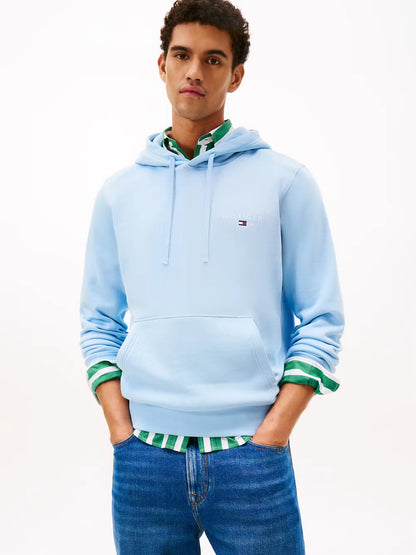 Tommy Hilfiger Brand Love Small Hilfiger Hoodie - Well Water MW0MW41429_C1Y_main